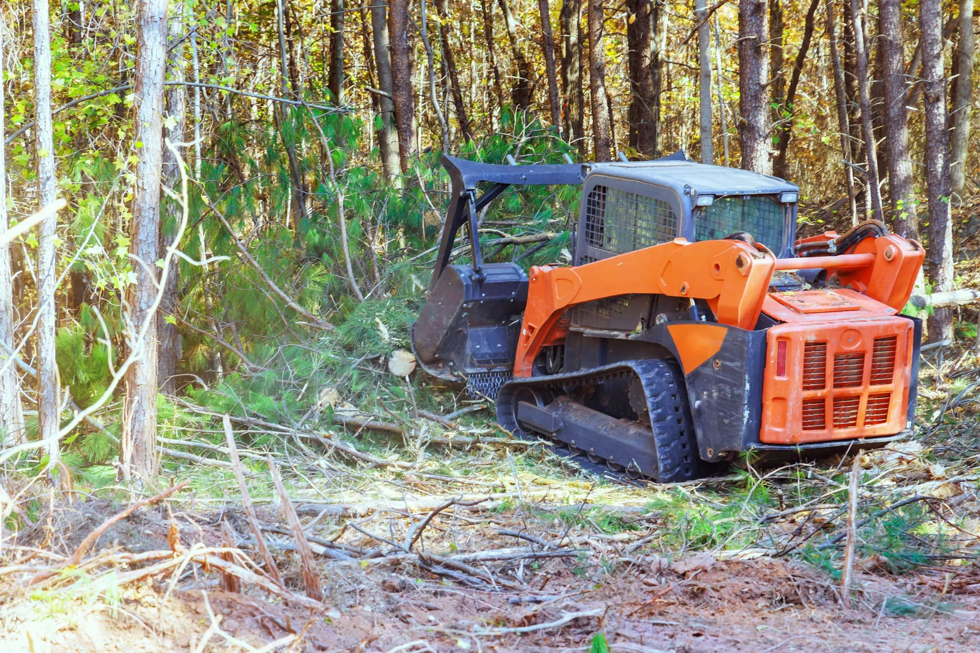 Compact tracked mulcher clearing undergrowth between hardwood trees
