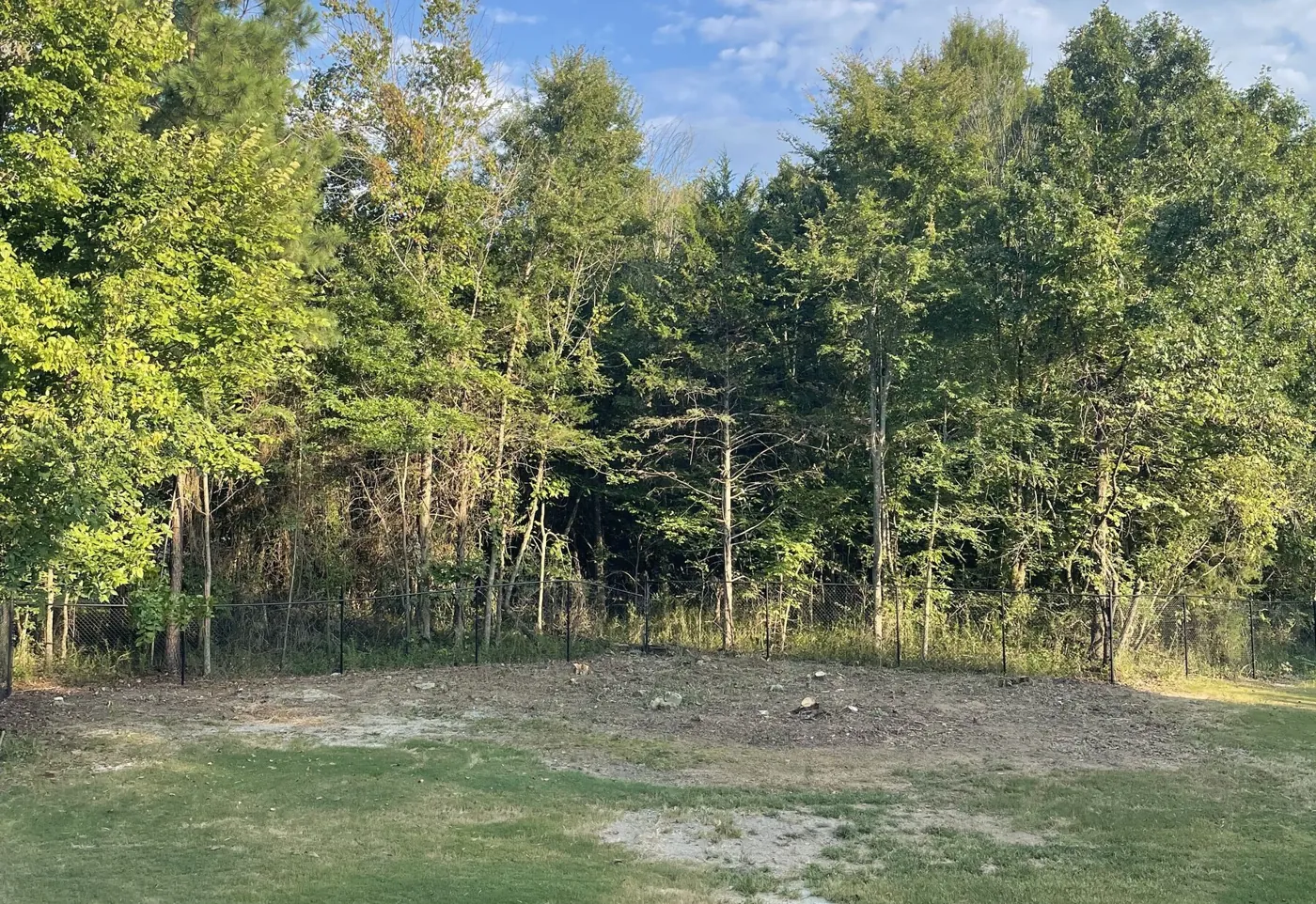 The same line cut back to the fence with the growth mulched and the ground open